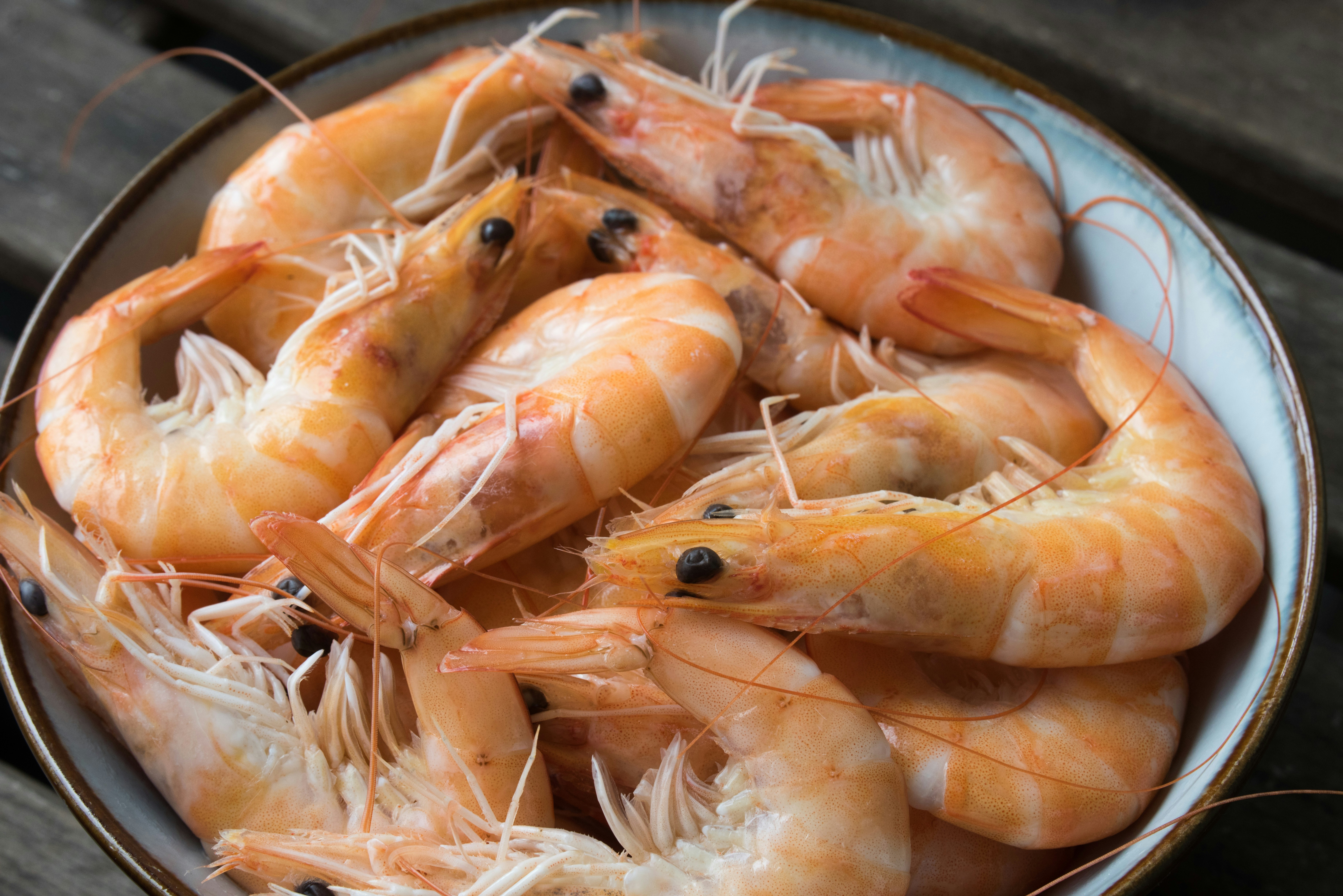 Shrimp seafood dish